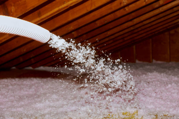 Best Eco-Friendly Insulation in Follansbee, WV