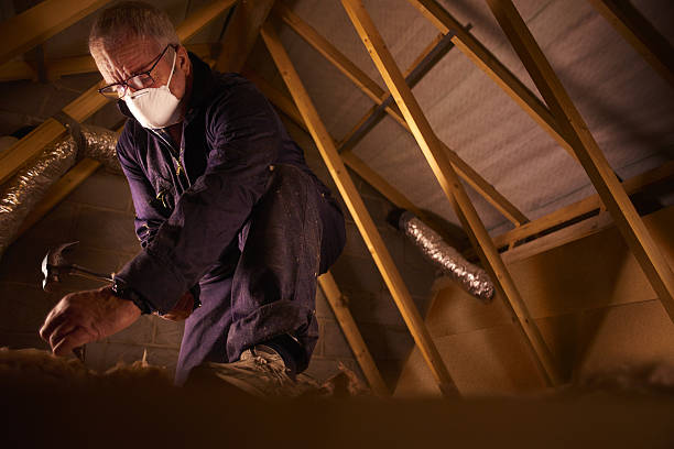 Best Geographic-Specific Insulation Services in Follansbee, WV
