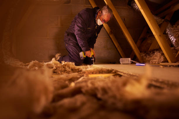 Best Cellulose Insulation in Follansbee, WV